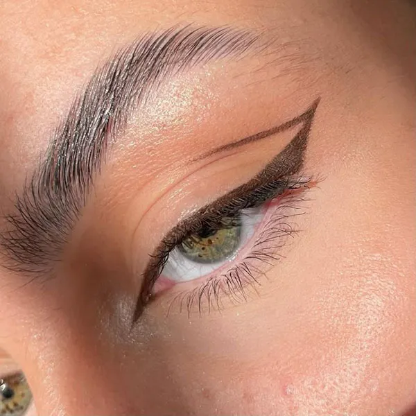 30 مدل خط چشم قهوه ای؛ مدلهای ظریف و جذابی که آرایش چشم را متفاوت میکنند! 24 Brown eyeliner 22
