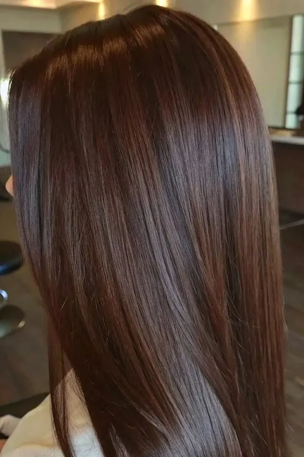 رنگ مو بلوطی پاییز؛ این مدلهای گرم و براق برای پاییز 1405دیدنیاند 4 Chestnut hair color 1