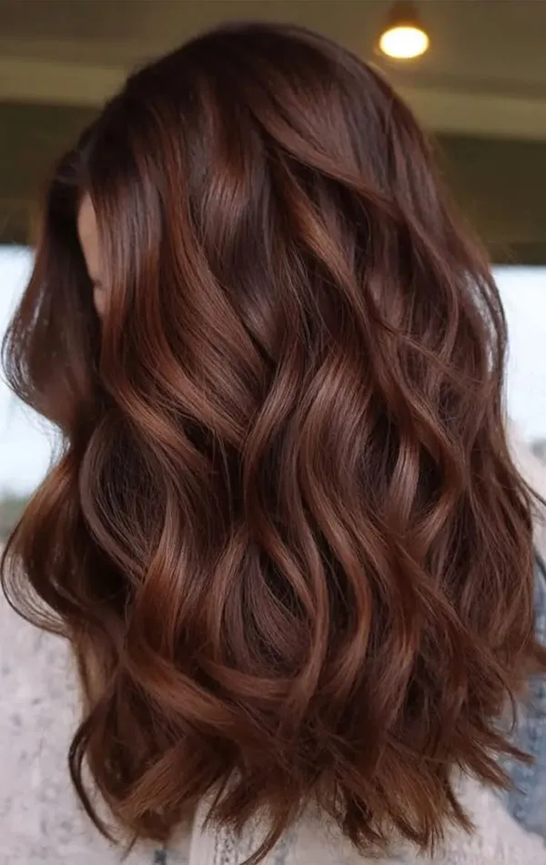 رنگ مو بلوطی پاییز؛ این مدلهای گرم و براق برای پاییز 1405دیدنیاند 30 Chestnut hair color 28