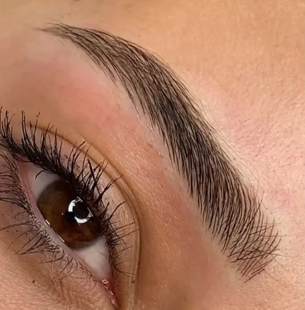 Eyebrow shaping style 17