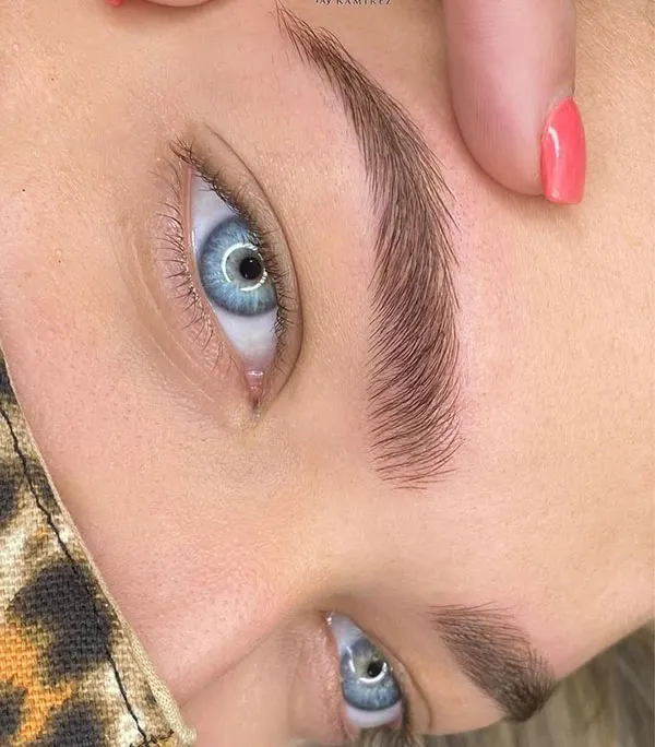 Eyebrow shaping style 22
