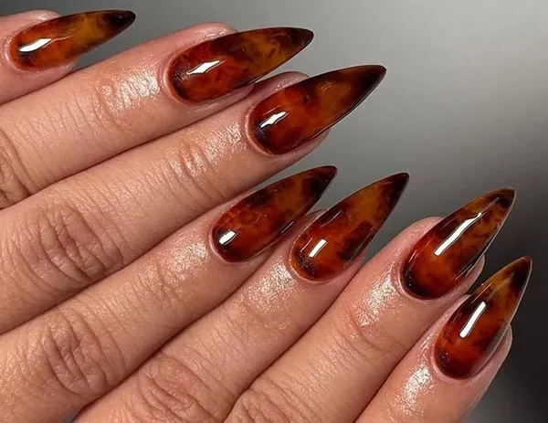 Tortoiseshell nail design 28