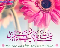 استوری ولادت حضرت زینب (س)